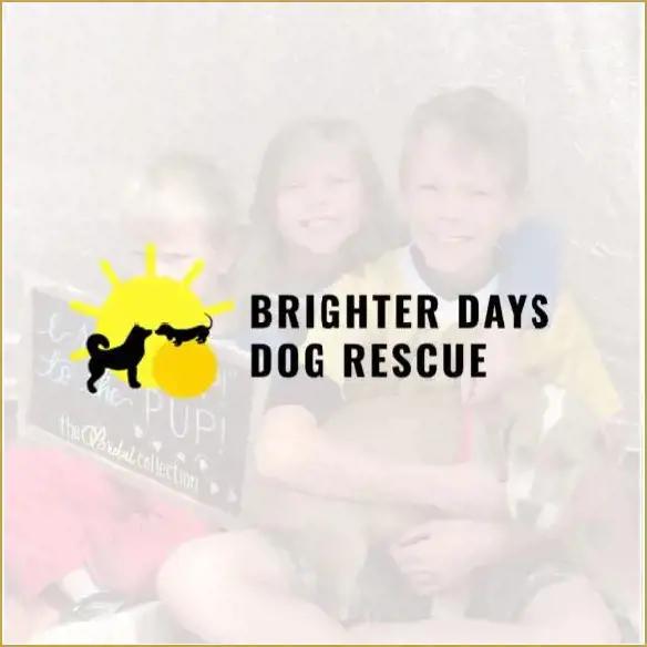 Brighter Days Dog Rescue logo